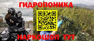 крисы Краснодар
