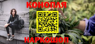крисы Краснодар